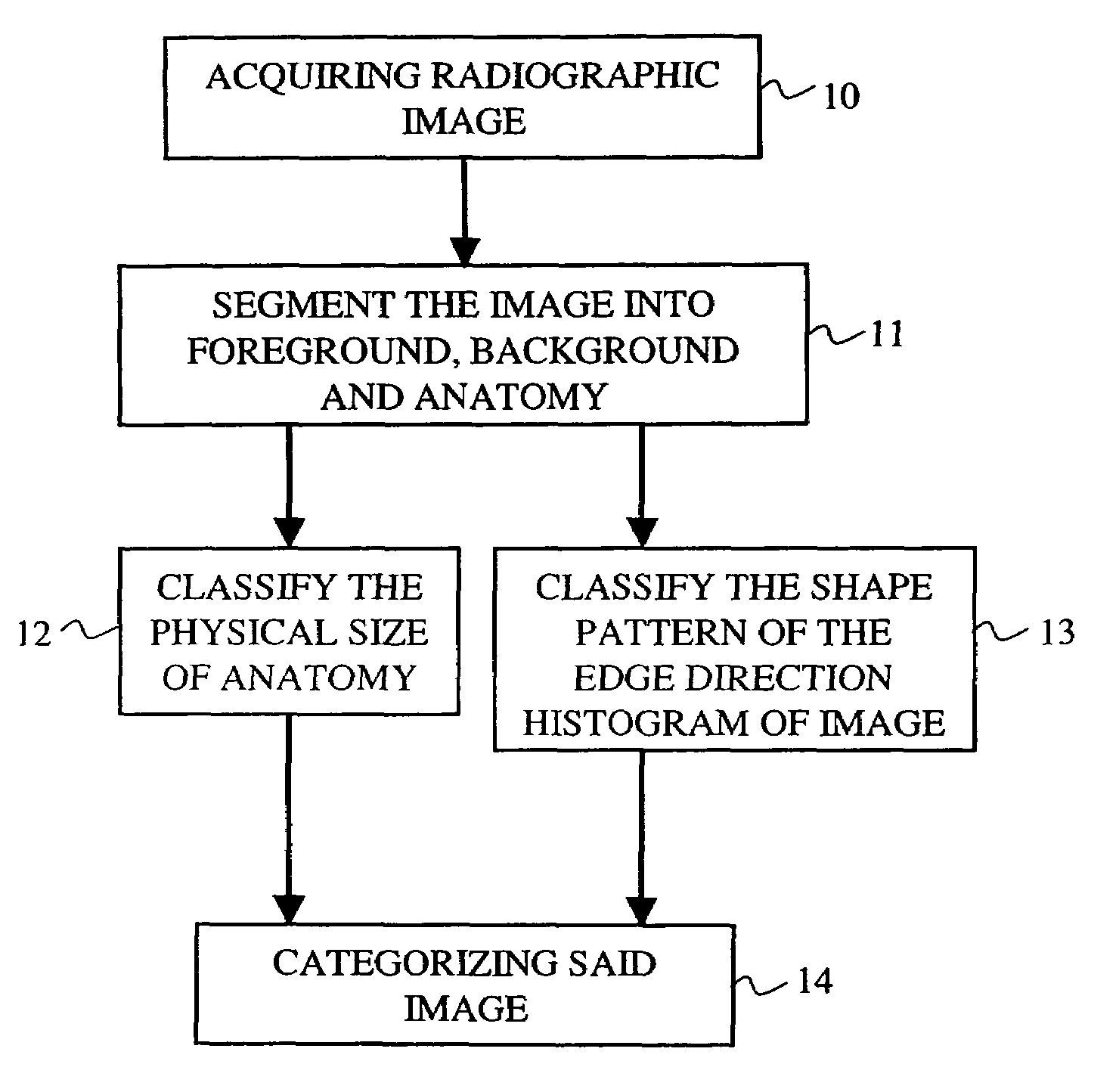 Automated radiograph classification using anatomy information