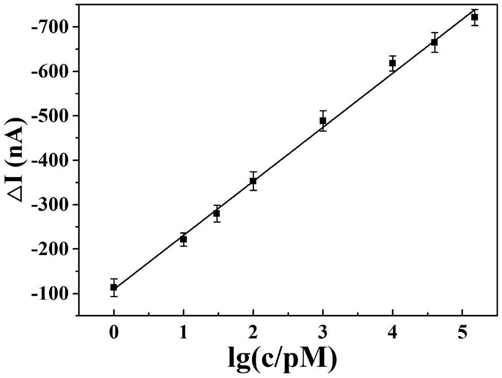 Double-electrode photoelectrochemical aptamer sensor as well as preparation method and application thereof