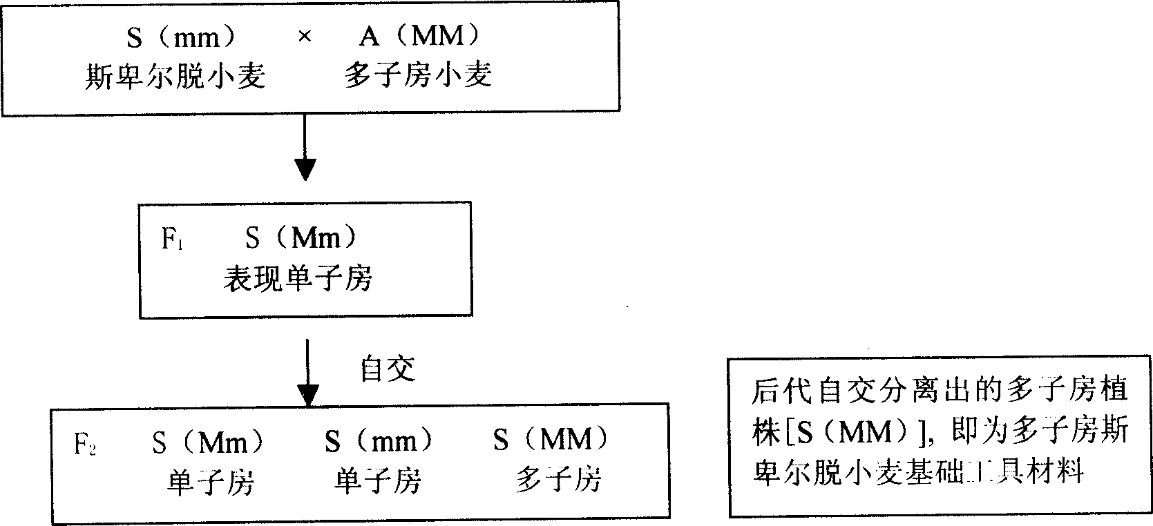 Method for increasing breeding benefit of wheat hybrid