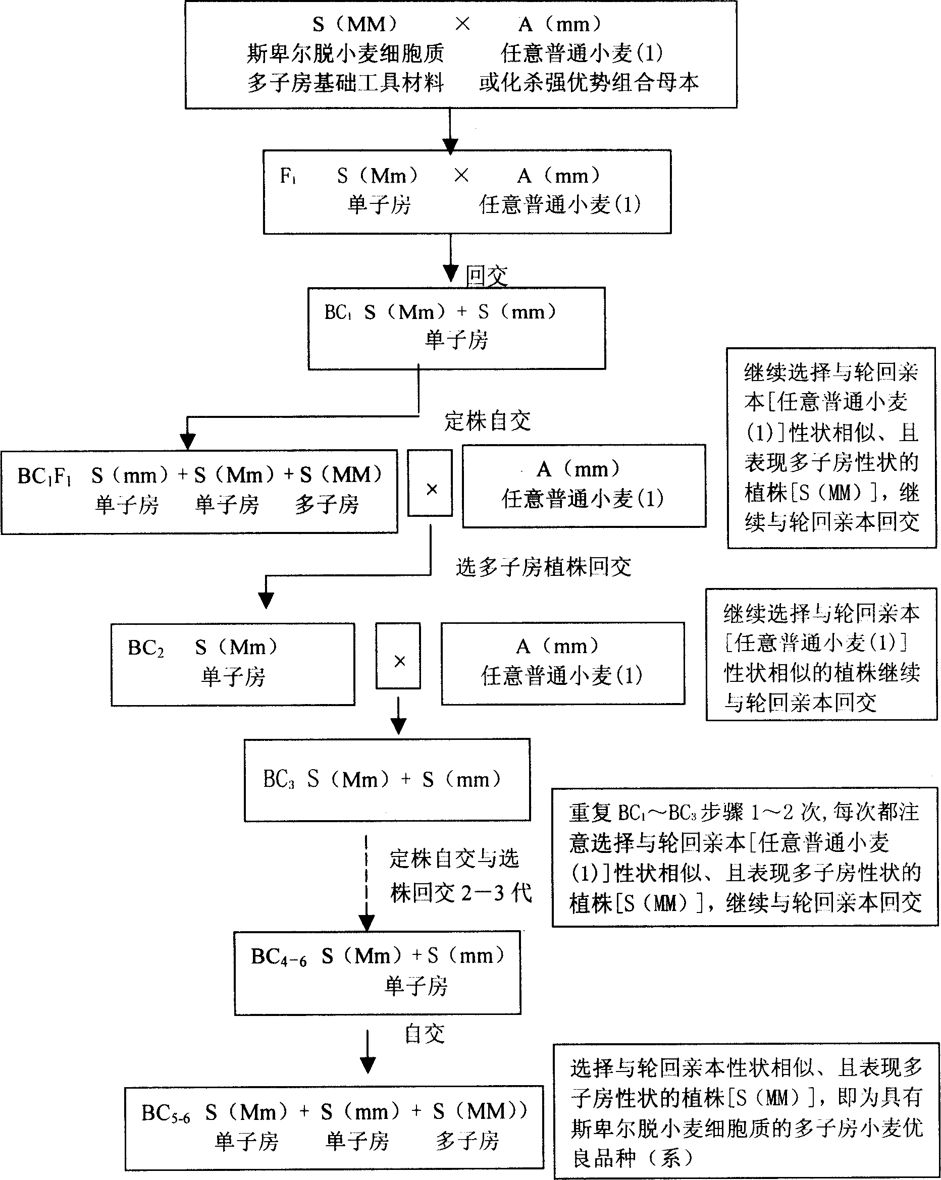 Method for increasing breeding benefit of wheat hybrid