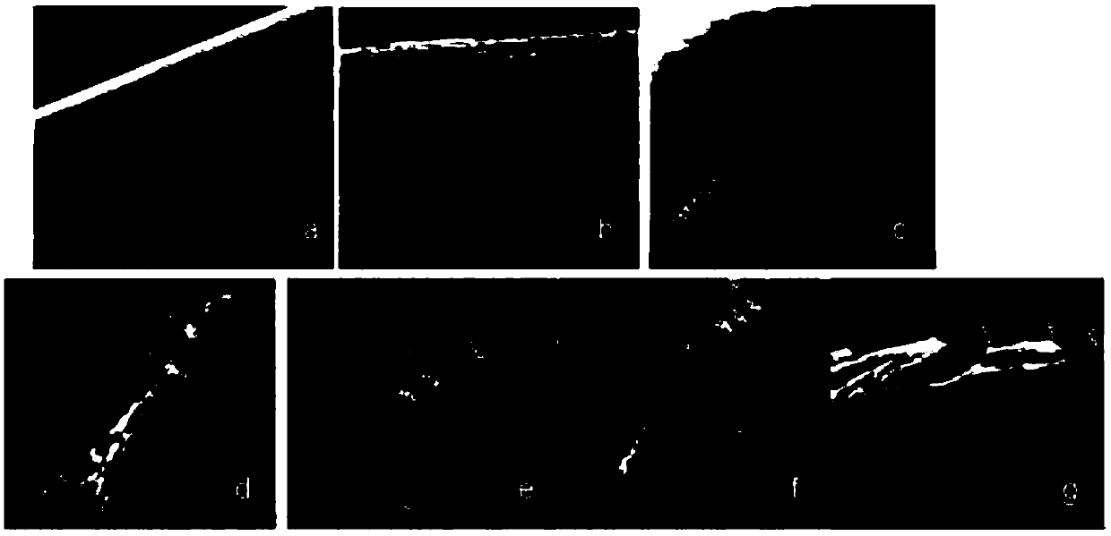 Preparation method and application of solid-phase microextraction fiber of self-assembly multi-layer porphyrin organic frame compound