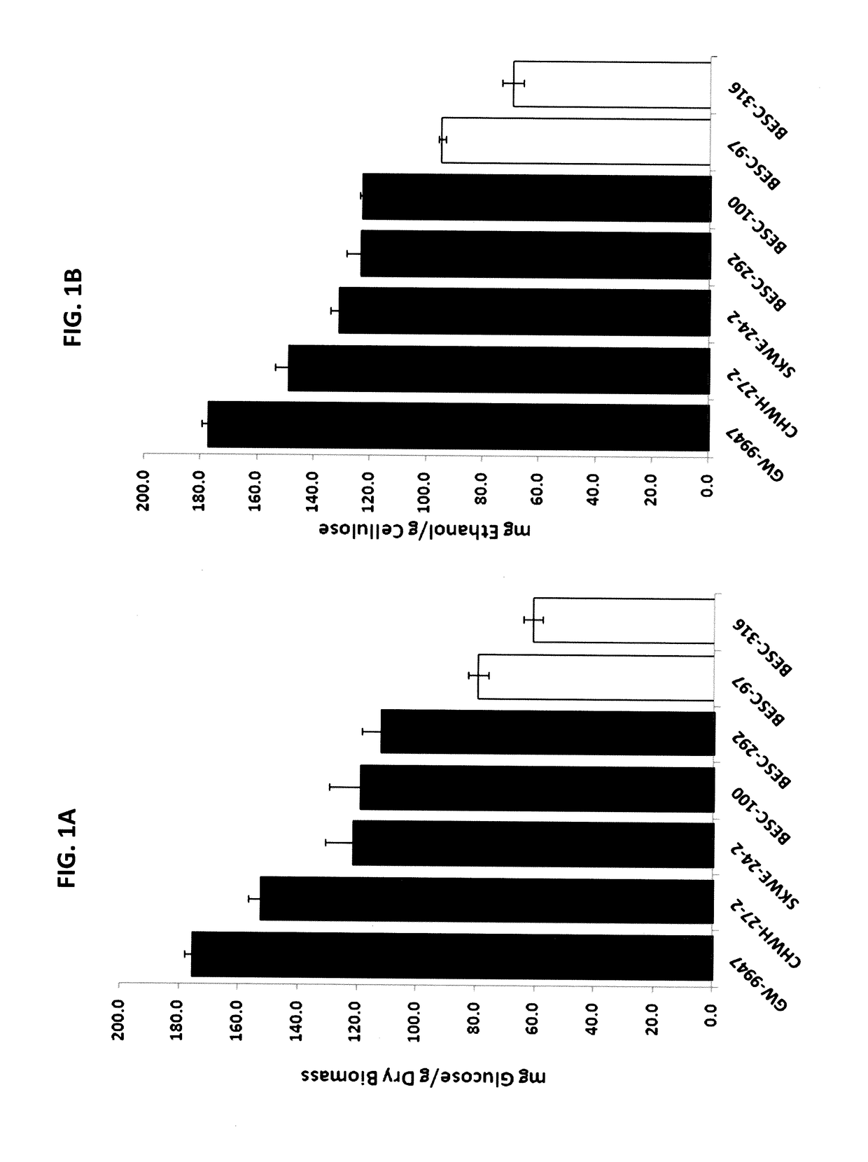 Transcription factor which regulates flavonoid, phenylpropanoid, tyrosine, and tryptophan pathways