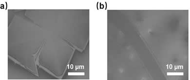 A large-area two-dimensional gallium nitride thin film and its preparation method