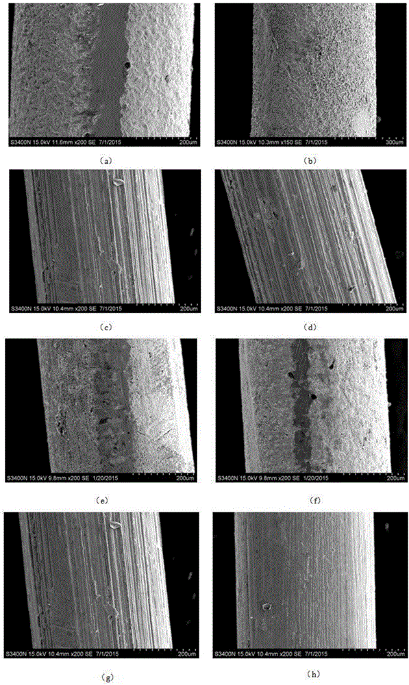 Method for rapidly generating dense silver chloride plating layer, and silver chloride electrode prepared through method