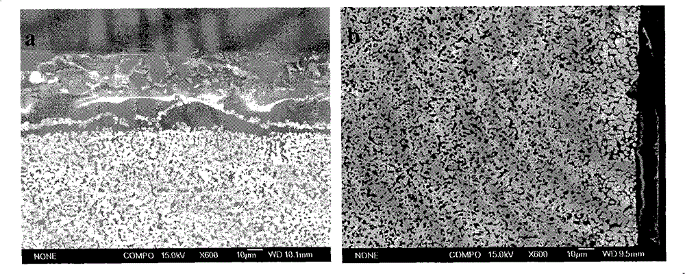 Texturing boride-based ceramics and preparing method thereof