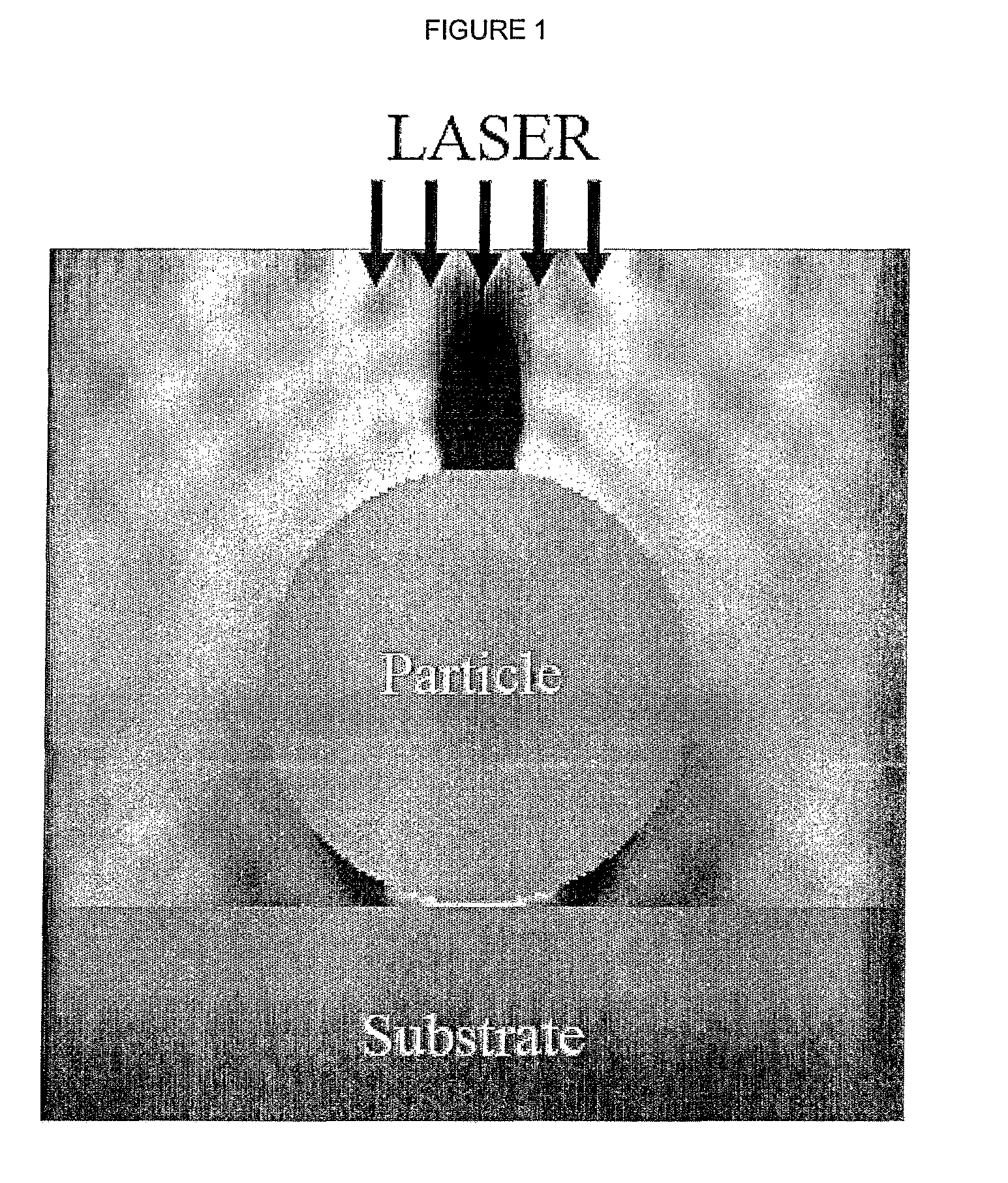 Determination of field distribution