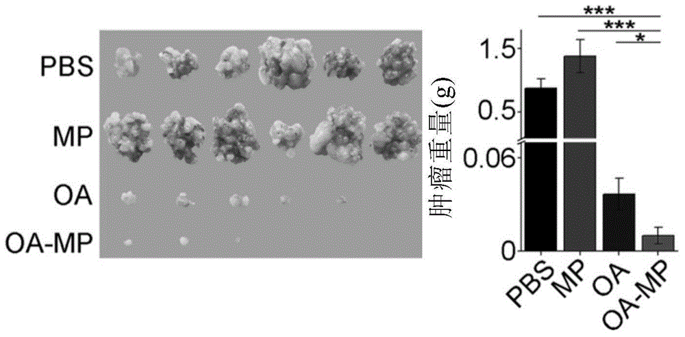 Oncolytic virus preparation and preparing method thereof