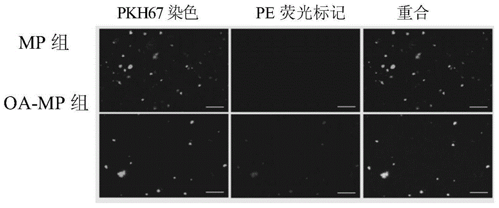 Oncolytic virus preparation and preparing method thereof