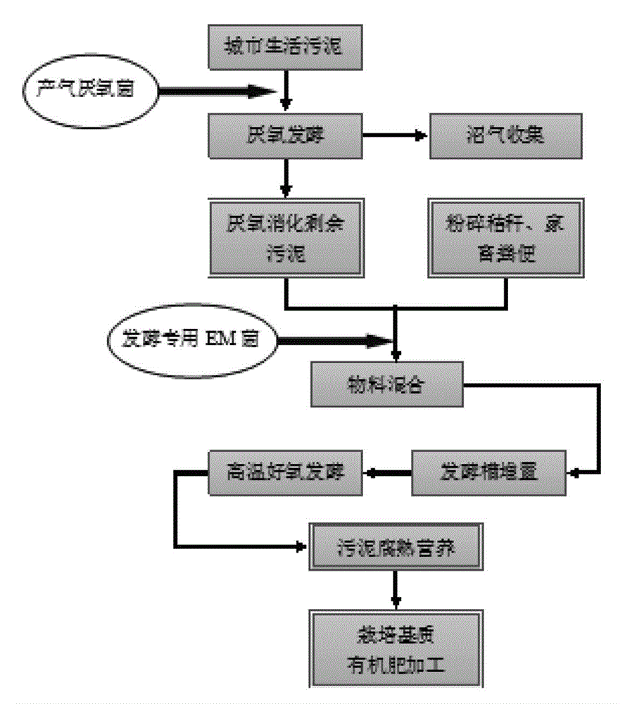 Comprehensive treatment technology for municipal domestic sludge