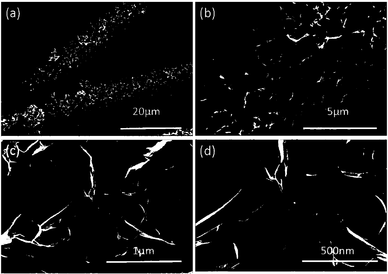 Preparation method of WS2 nano-material with macroporous network structure