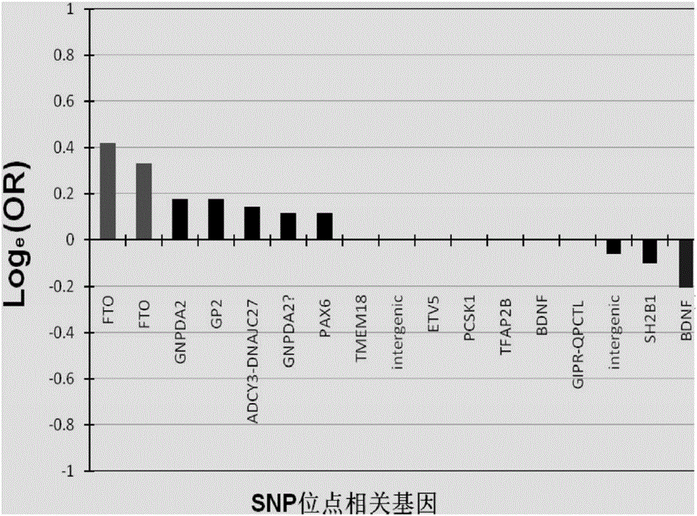 Personalized genetic typing guidance body building and weight losing method and equipment application thereof