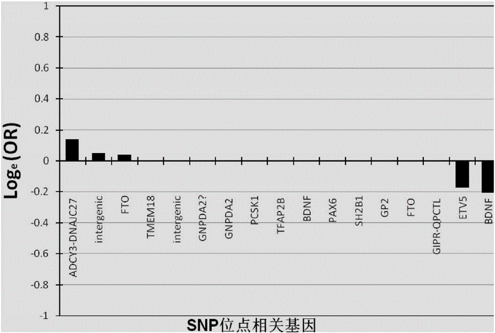 Personalized genetic typing guidance body building and weight losing method and equipment application thereof