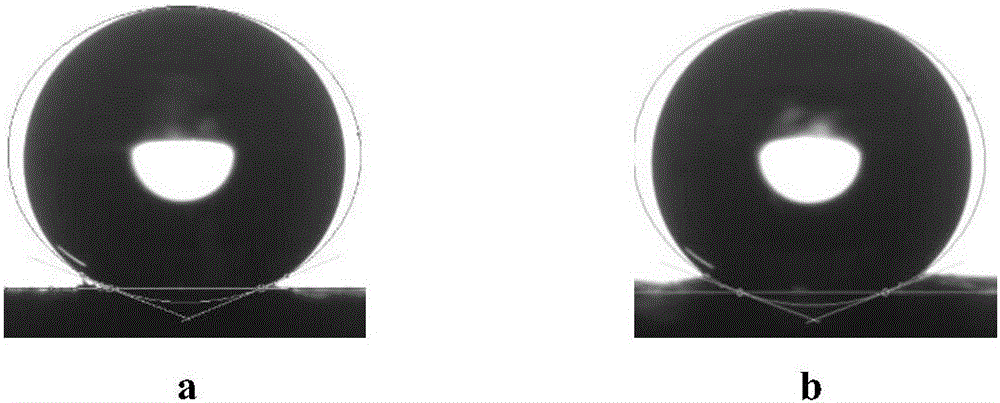 Super-wear-resisting super-hydrophobic coating and preparation method thereof