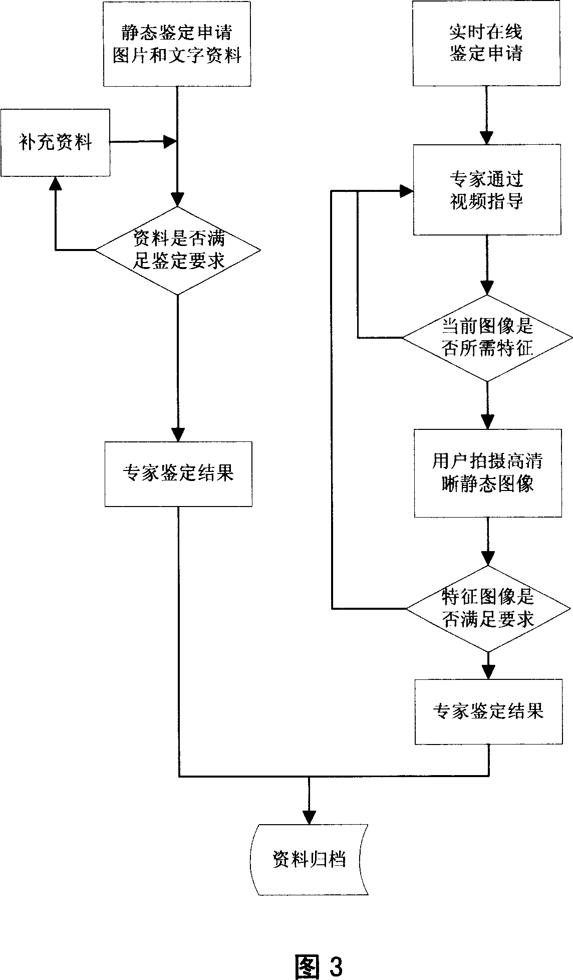 Remote appraisal system