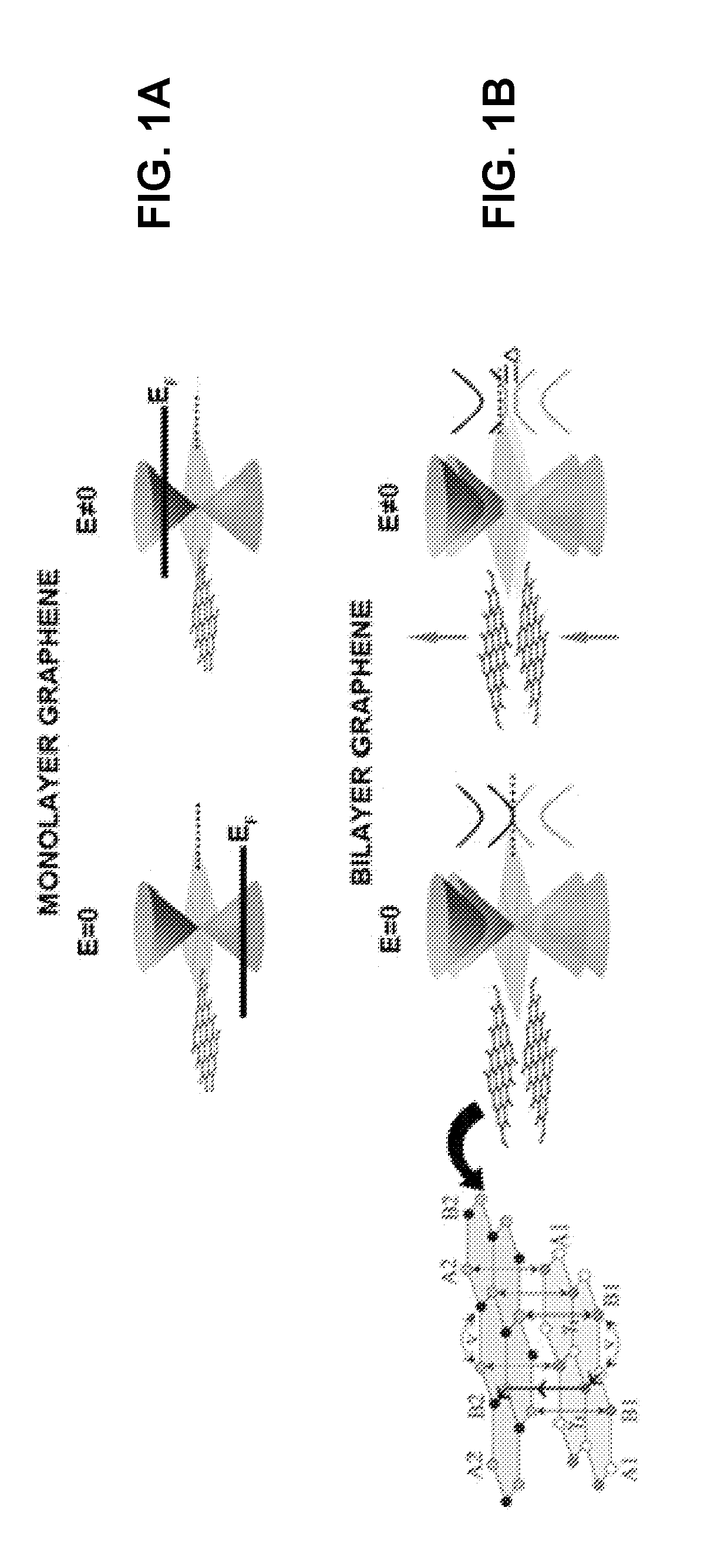 Photodetector with Interdigitated Nanoelectrode Grating Antenna