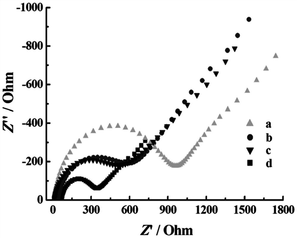 A chemically modified electrode for sensitive detection of doxycycline and its preparation method and application