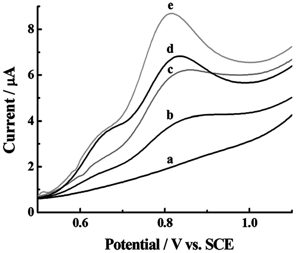 A chemically modified electrode for sensitive detection of doxycycline and its preparation method and application