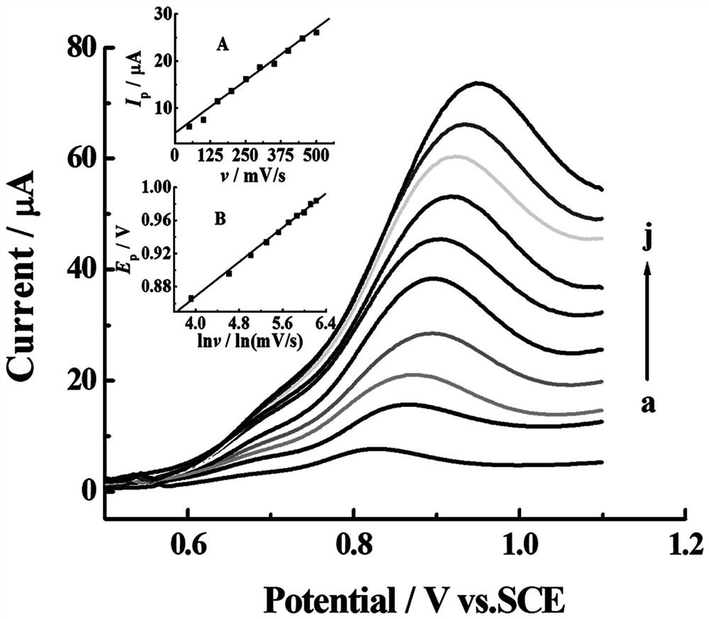 A chemically modified electrode for sensitive detection of doxycycline and its preparation method and application