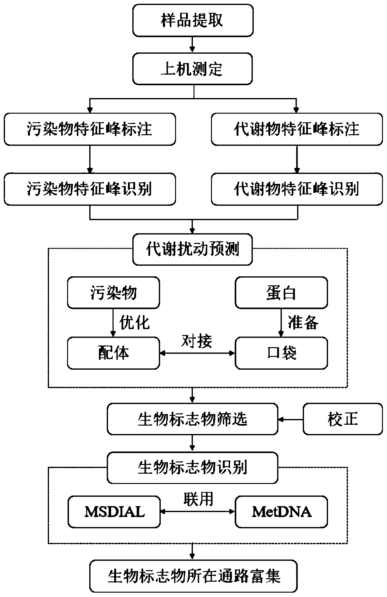 Non-target biomarker high-throughput screening method based on pollutant metabolism disturbance