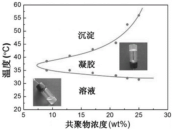 Polymer composite material with hemostasis and anti-adhesion properties and preparation method and application thereof