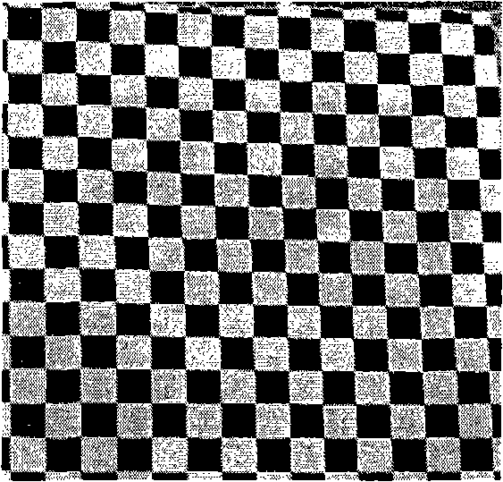 Method for creating distance map based on monocular camera machine vision