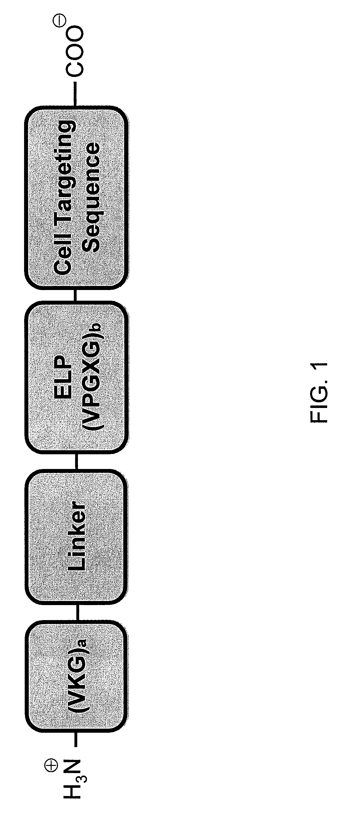 Elastin-like polymer delivery vehicles