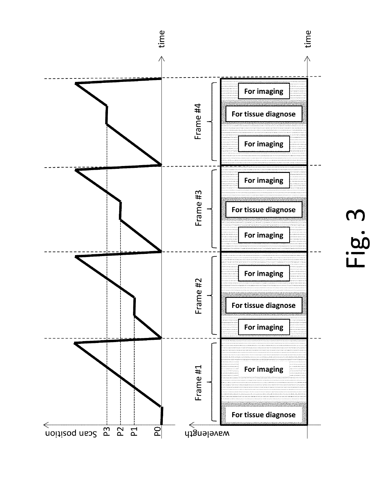 Diagnostic spectrally encoded endoscopy apparatuses and systems and methods for use with same