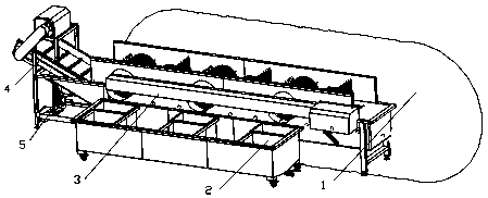 Automatic cleaning equipment for pleurotus geesteranus