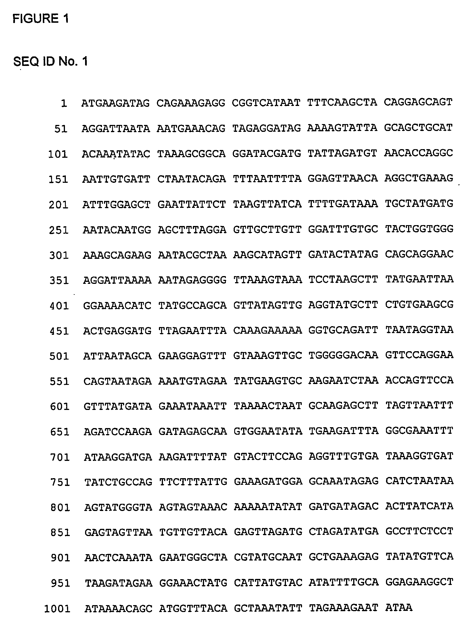 Novel protein