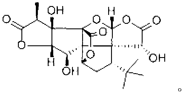 New bilobalide B compound and preparation method thereof