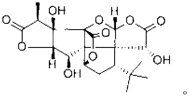 New bilobalide B compound and preparation method thereof