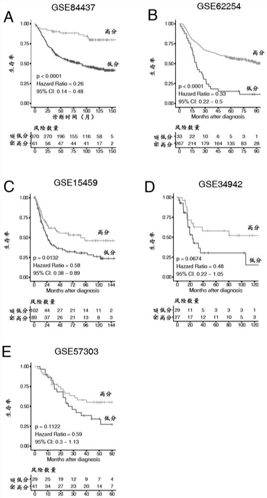 Gene sets, scoring models and their applications for assessing the tumor microenvironment