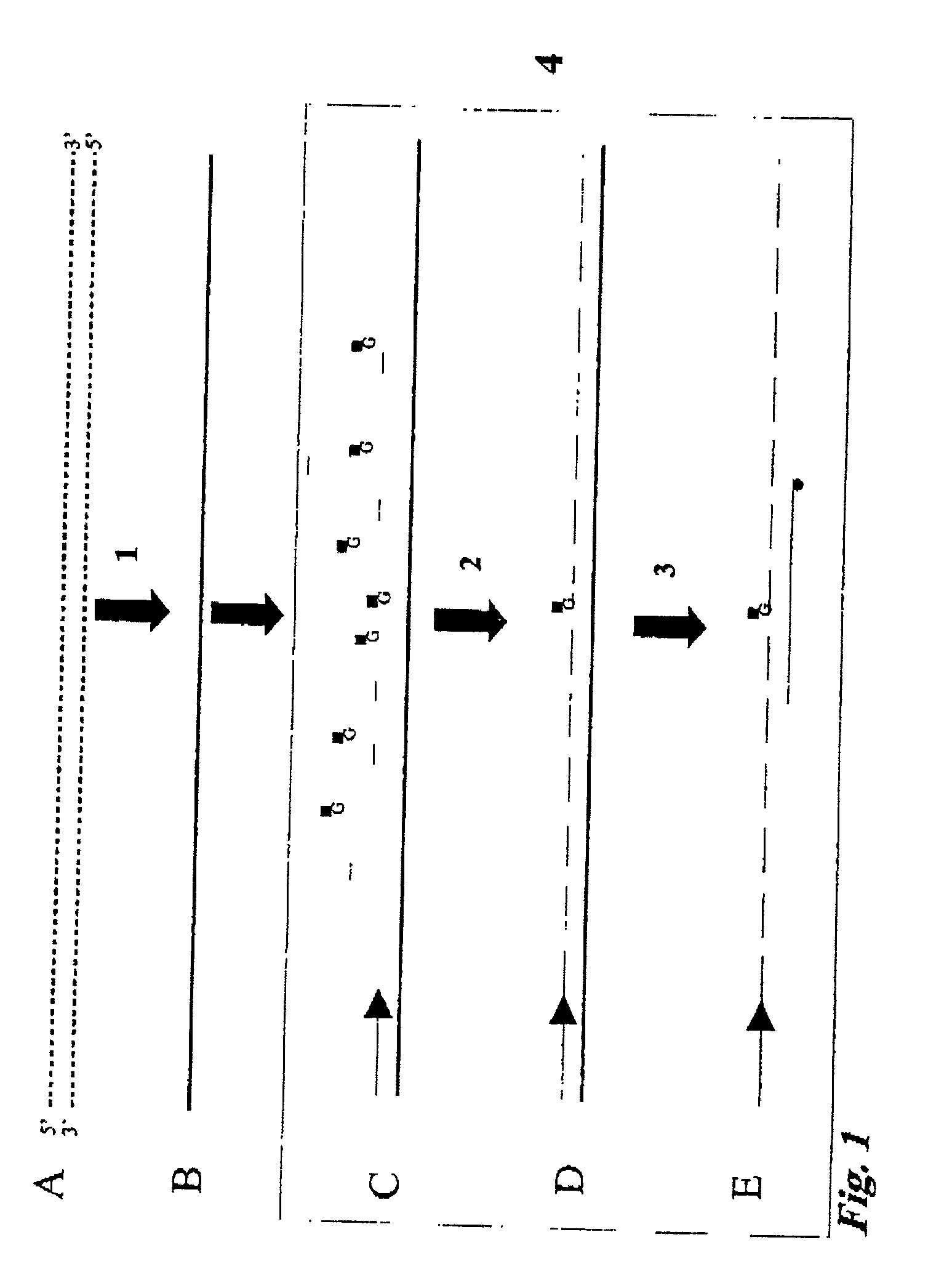 Quantitative methylation detection in DNA samples