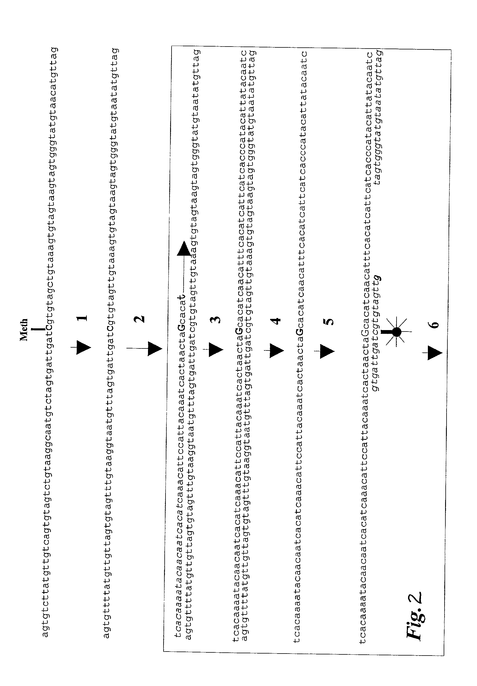 Quantitative methylation detection in DNA samples