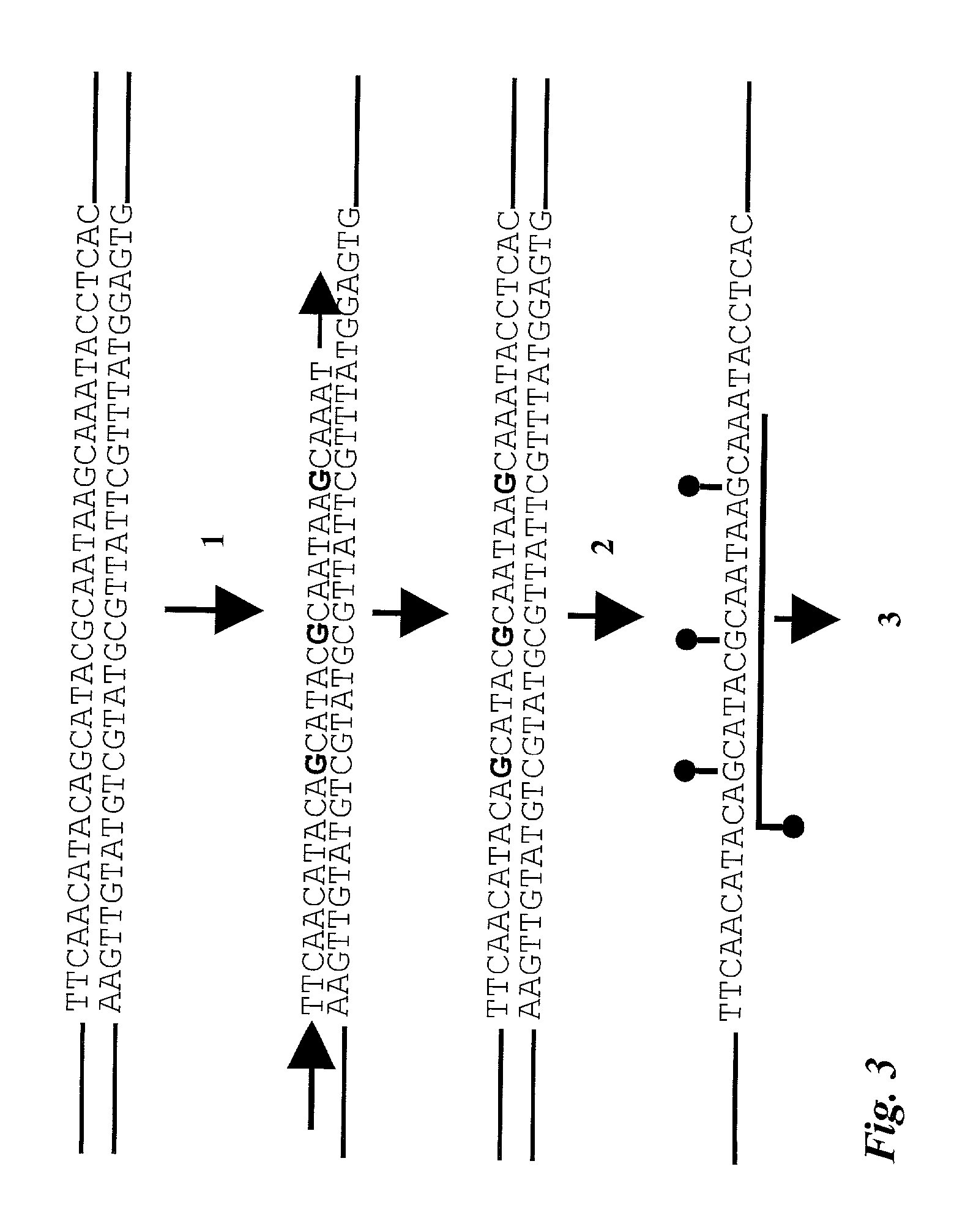 Quantitative methylation detection in DNA samples