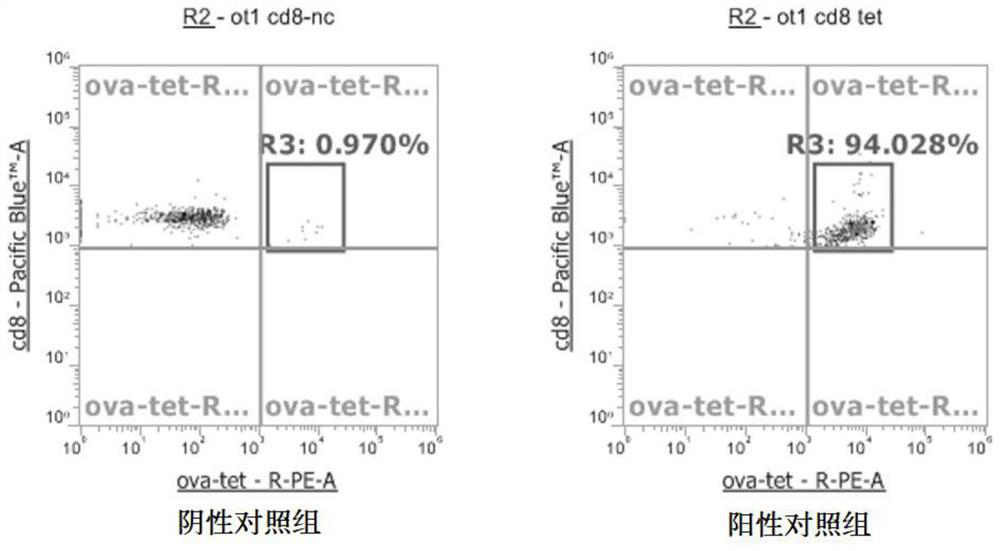 Tumor immunotherapy composition based on specific immune cells, preparation method and application