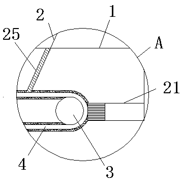 Grain dryer with dust removal function