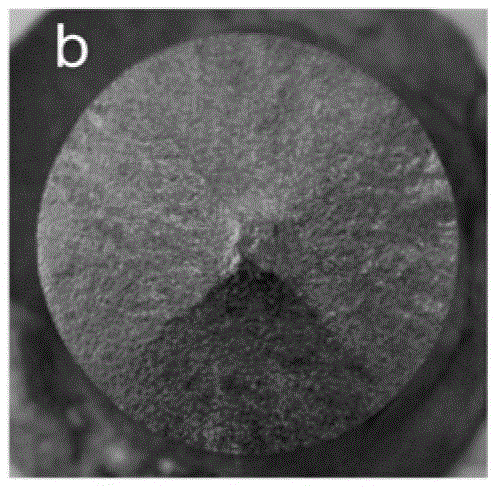 Method for preparing single domain yttrium barium copper oxide superconduction block by top seed infiltration process