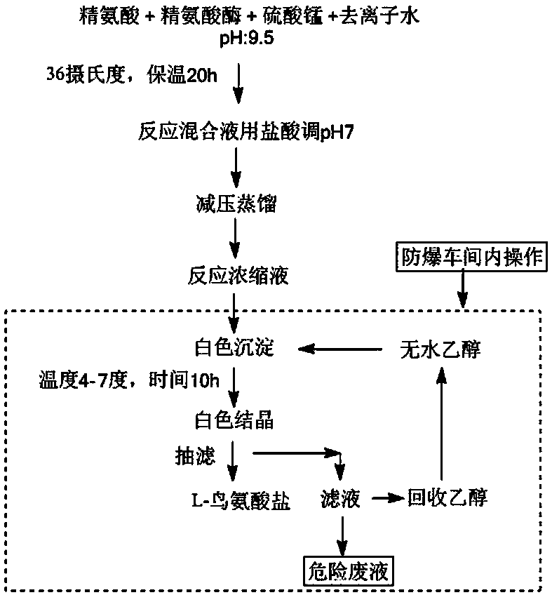 Method for separating L-ornithine from L-ornithine conversion solution prepared by using enzyme biotechnology and forming L-ornithine hydrochloride