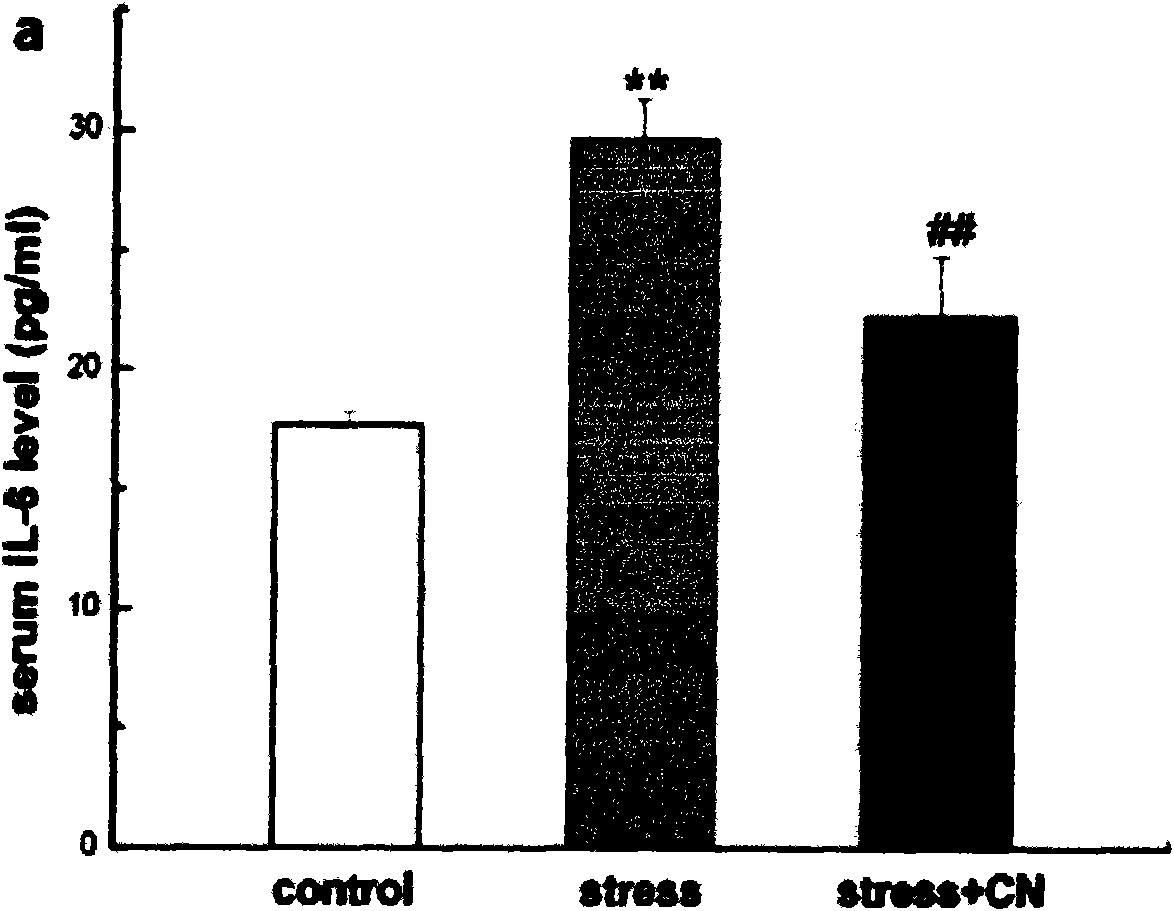 Anti-stress compound preparation and preparation process thereof