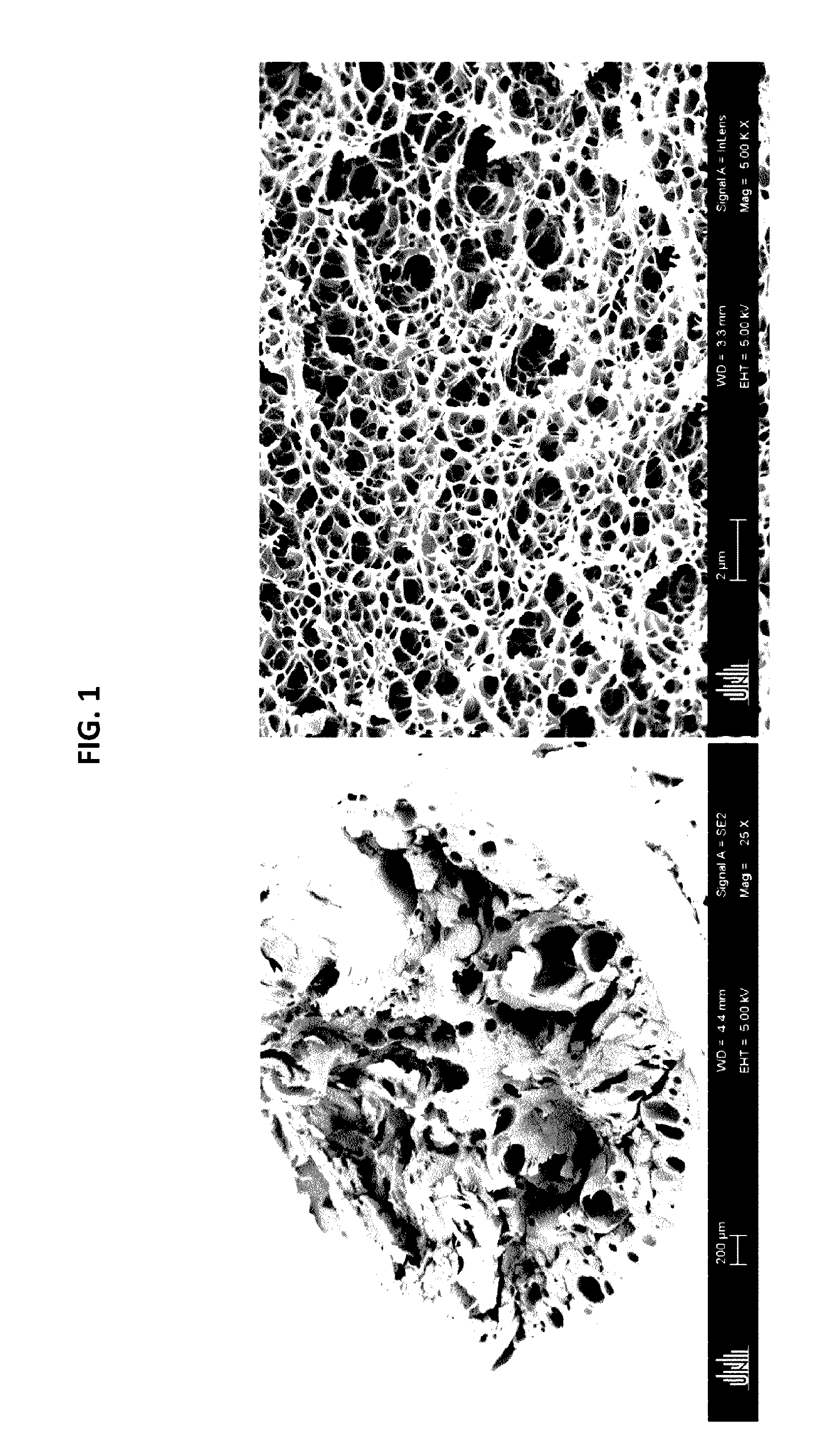 Production of porous materials by the expansion of polymer gels