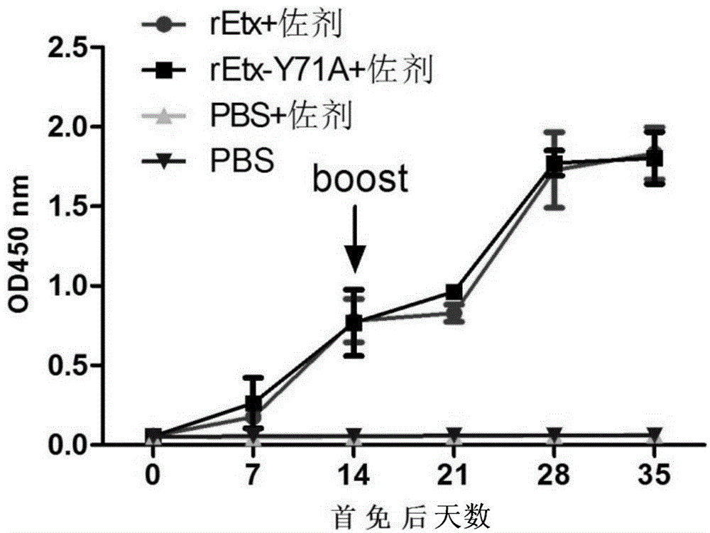 Toxin attenuation mutant for epsilon toxin of clostridium perfringens and application of toxin attenuation mutant