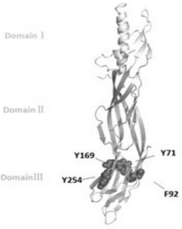 Toxin attenuation mutant for epsilon toxin of clostridium perfringens and application of toxin attenuation mutant