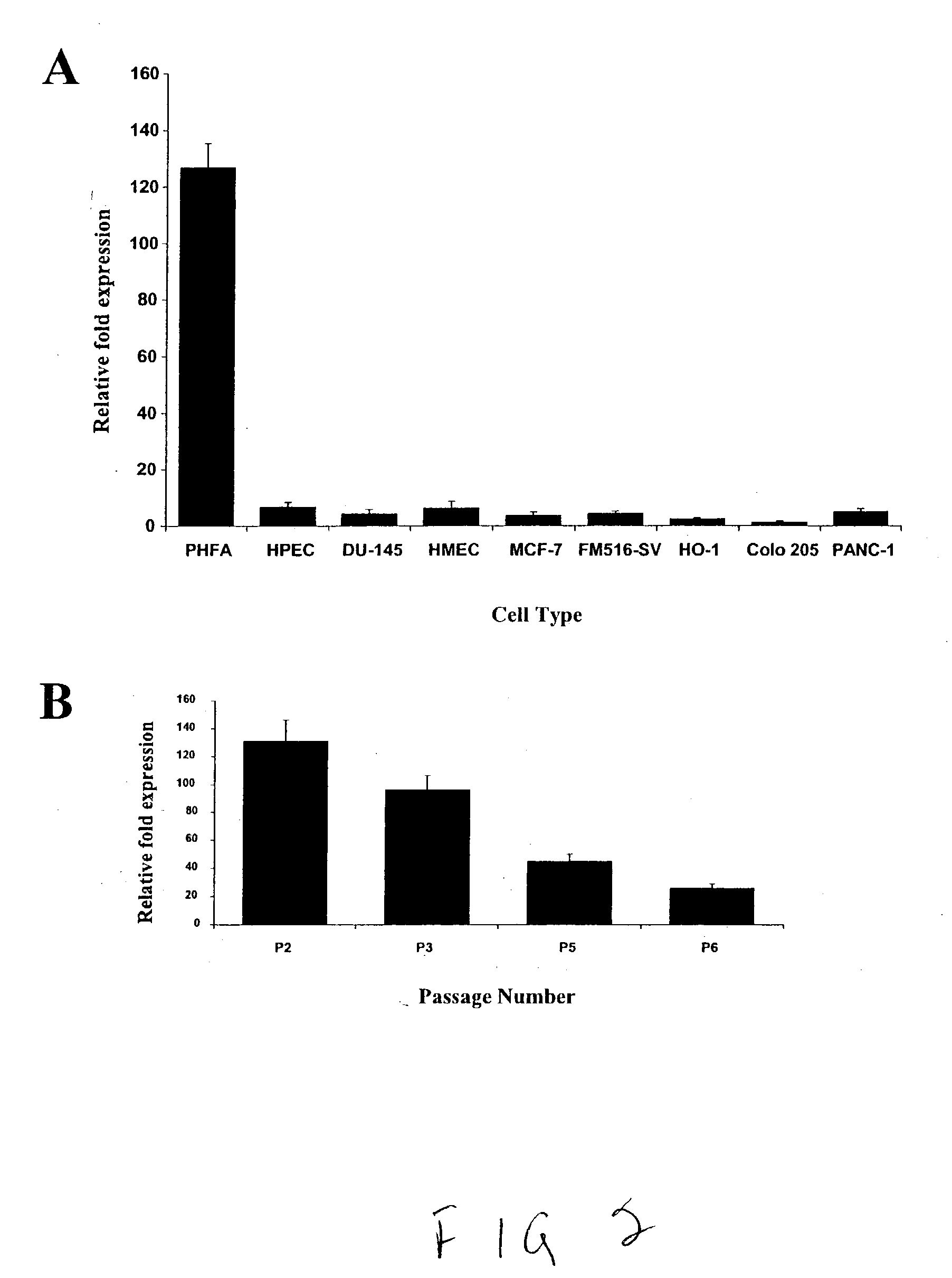 Human excitatory amino acid transporter-2 gene promoter and uses thereof