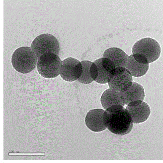 Preparation method of nickel oxide/carbon sphere composite material