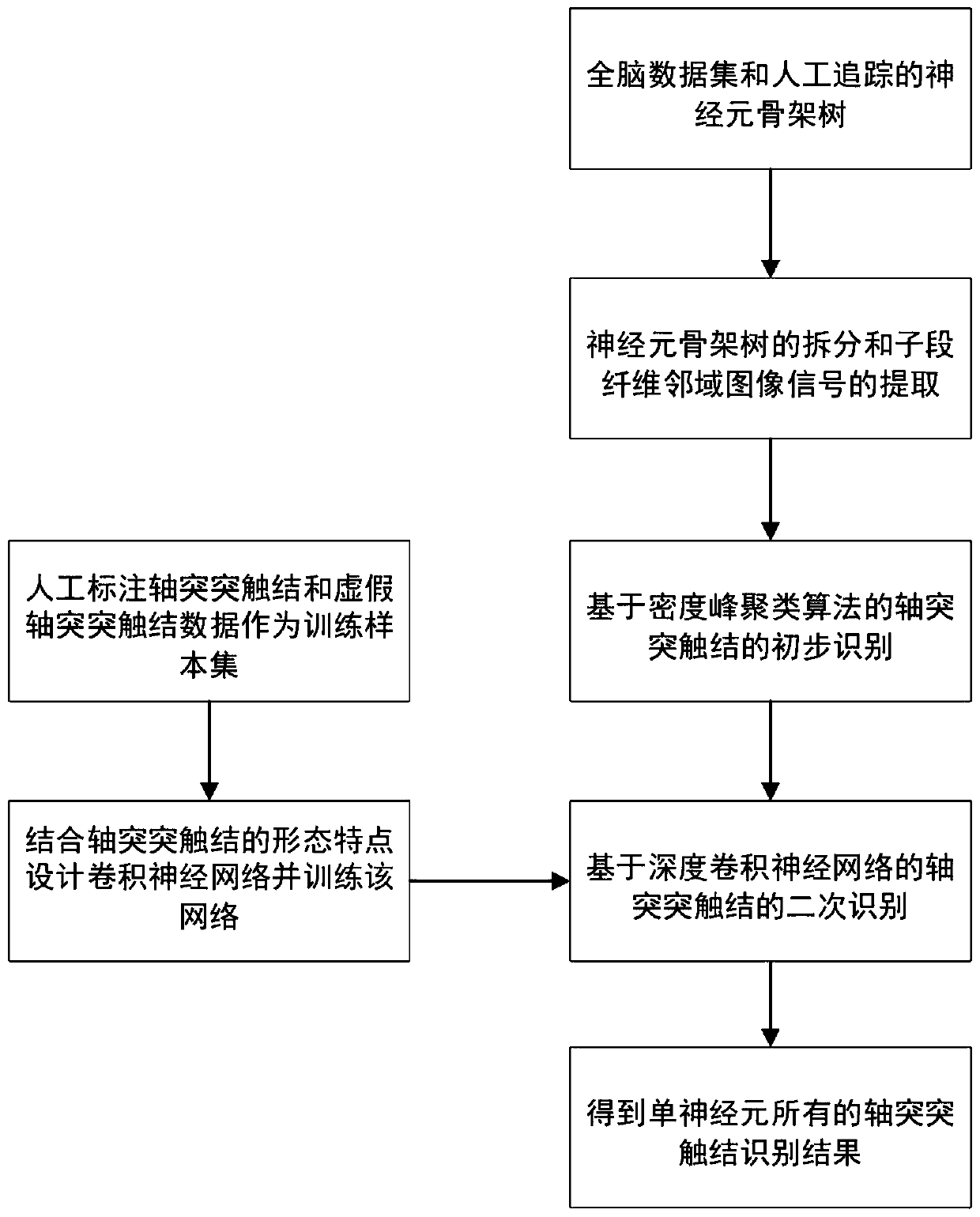 Automatic identification method and device for whole brain range single neuron axis sudden synaptic junction