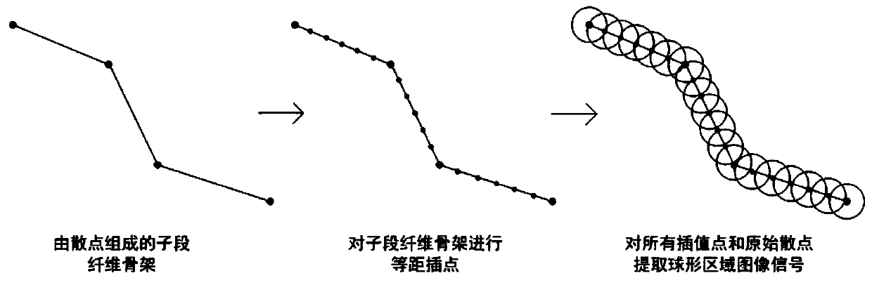 Automatic identification method and device for whole brain range single neuron axis sudden synaptic junction