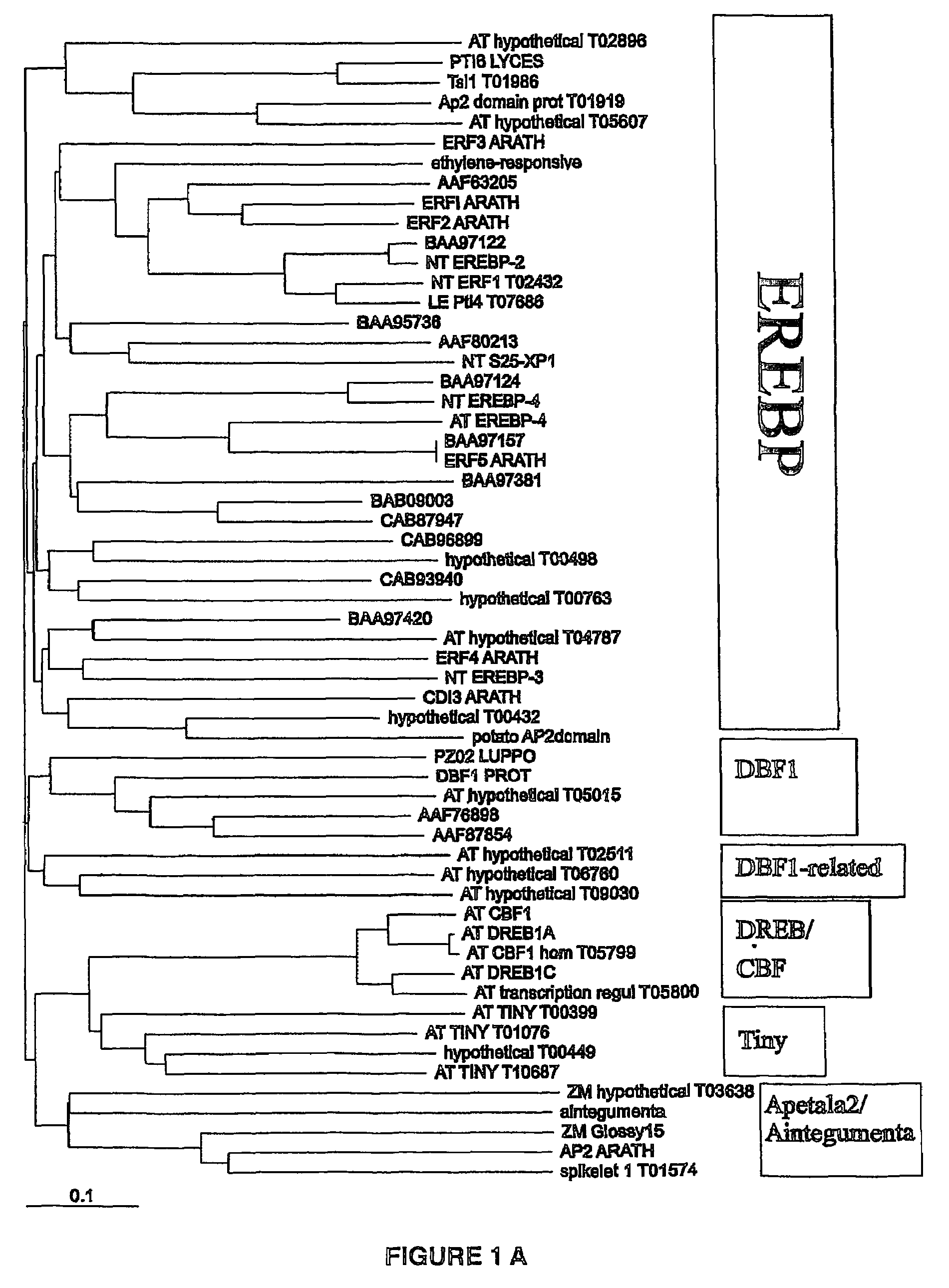 Method for improving plant tolerance to environmental stress