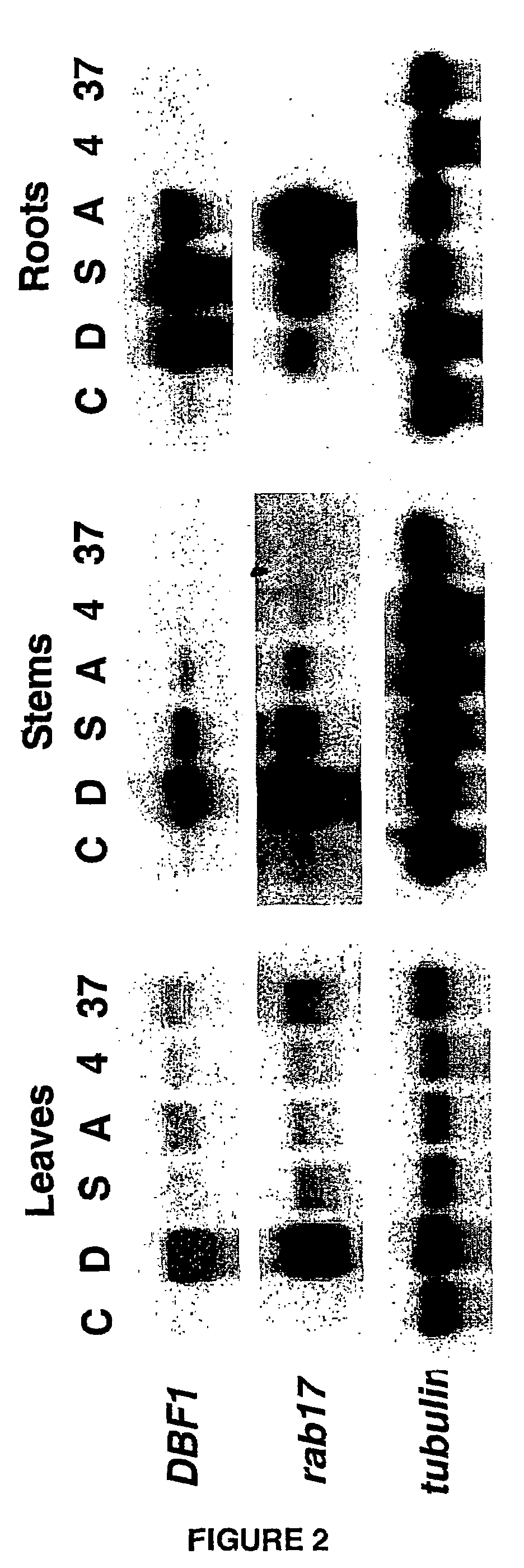 Method for improving plant tolerance to environmental stress