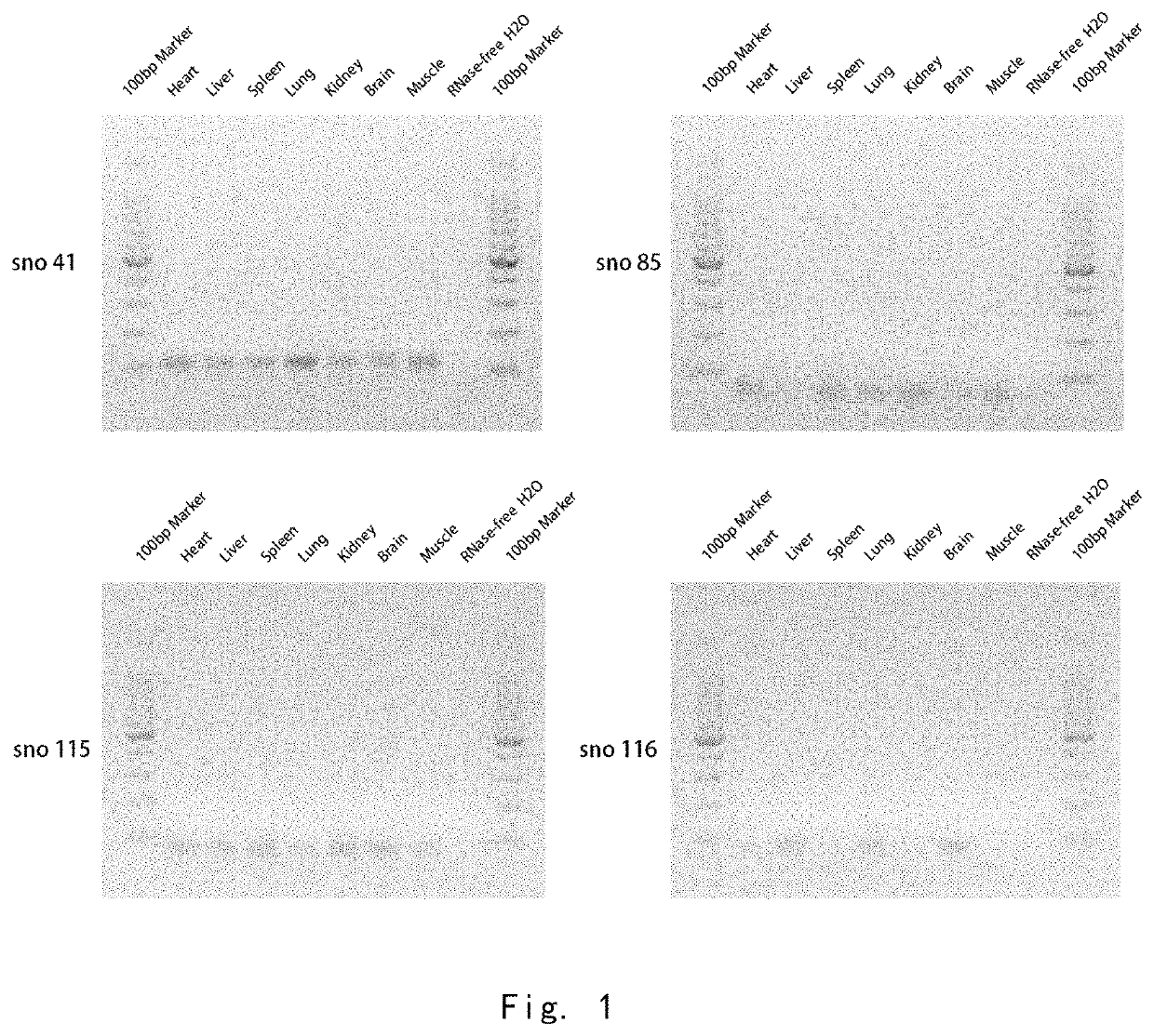 Molecular marker detection and regulating methods in de-servitization state of cells